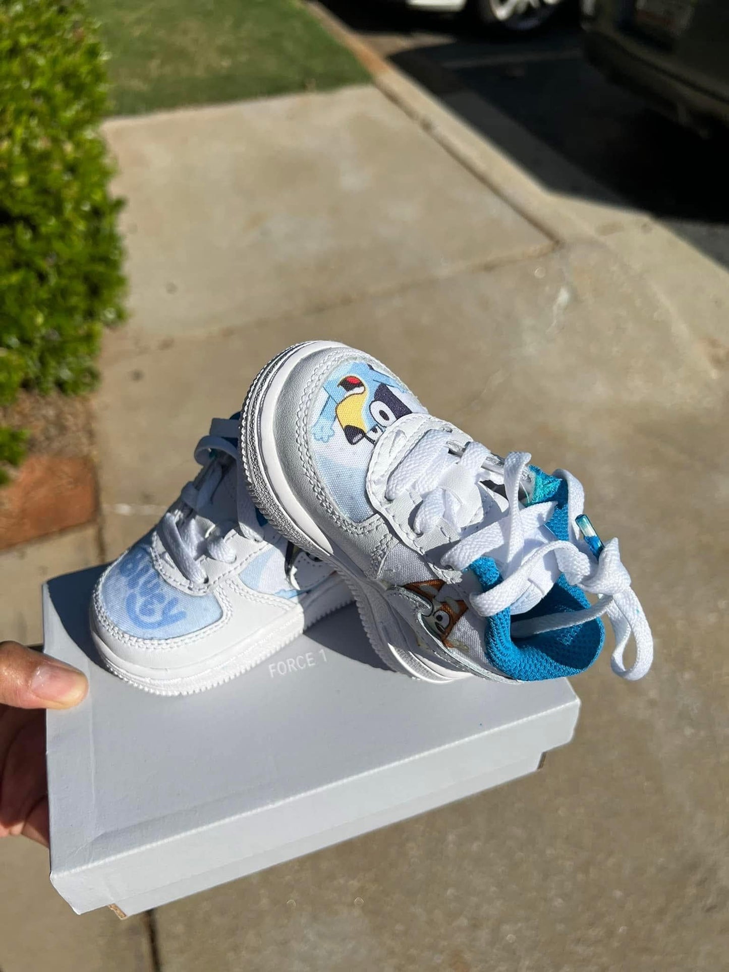 Bluey Custom Forces, Any them, Any character